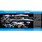 Star Trek Ships of the Line