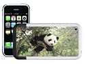 Panda in tree - Lapjacks skin to fit Apple iPhone