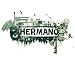 Into the Exam Room von Hermano - alle Infos