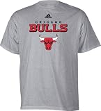 adidas Chicago Bulls Ash True Court T-shirt (Medium)