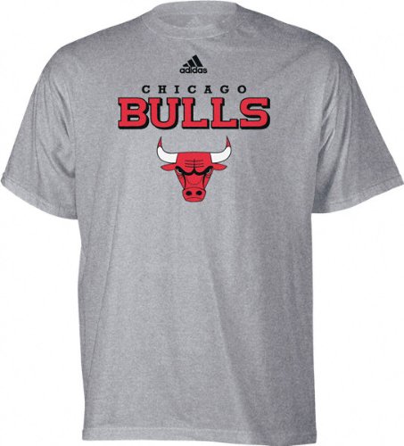 adidas Chicago Bulls Ash True Court T-shirt (Medium)