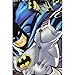 Batman Boys Flannel Coat Style Pajamas (Little Kid/Big Kid)
