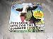 Classic Rock Magazine Presents Feel Good Hits for the Summer