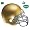Notre Dame Fighting Irish