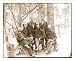 Civil War Photo (M): Broadway Landing Va. Surgeons of 4th Division 9th Corps