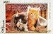 PUZZLES/Kittens [560 Pieces] [A puzzle is a great game for family leisure time, excit...