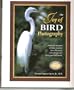 The Joy of Bird Photography: From Your Backyard to Exotic Locations, Learn the Secrets and Techniques for Taking Great Bird Photos
