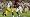 NCAA Football 13 - PS3