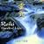 Reiki: Hands of Light