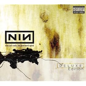 The Downward Spiral - Deluxe Edition [Explicit]