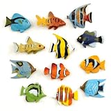 51MbpOcLjjL. SL160  Buy Tropical Fish Supplies