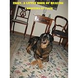 Ziggy, a Little Book of Healing