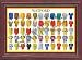 WATFORD FC FRAMED FOOTBALL SHIRT POSTER THROUGH THE AGES