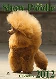 Toy Poodle-Kalender 2012
