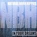 Natural Born Hippies-In your dreams [Single-CD]