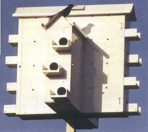 Alamo Bird House with 12 Compartments