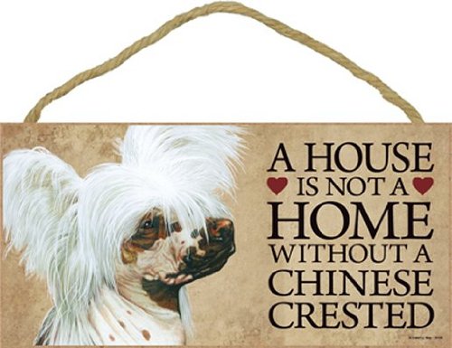 A House Is Not A Home Without A Chinese Crested - 5