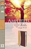 Amplified Bible, Large Print