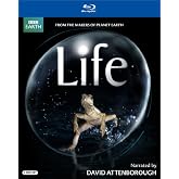Save 60% on "Life" on Blu-ray or DVD