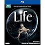 Life (narrated by David Attenborough) [Blu-ray]