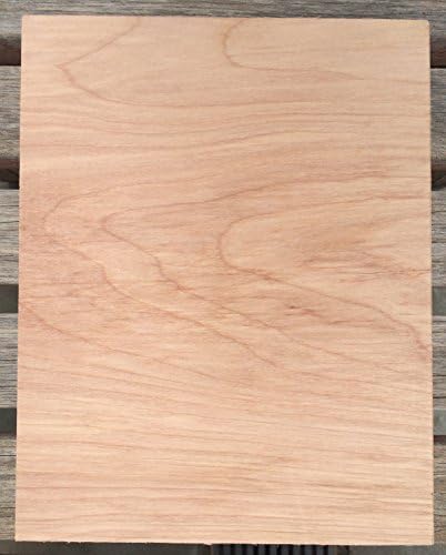 Golden Burro Cafe Florescent Sign -Photograph Wood Transfer Art