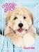 Animals and You Annual 2010: For Girls