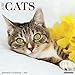 2016 Just Cats Wall Calendar