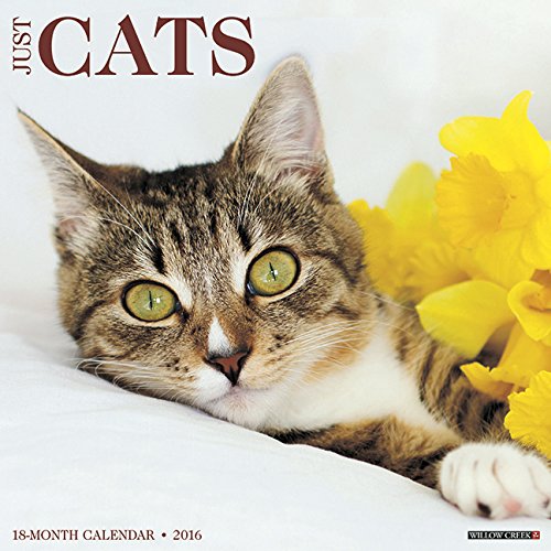 2016 Just Cats Wall Calendar