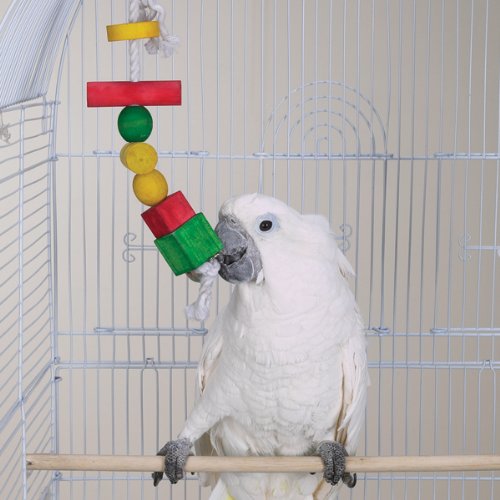 FOUR WAY SHAPES – Brainy Bird Classic Series Toys
