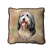 Bearded Collie Pillow - 17 x 17 Pillow