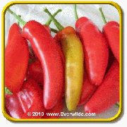 Sweet Pepper Seeds - 'Hungarian Sweet Wax' Vegetable Seed Packet (50 Seeds)