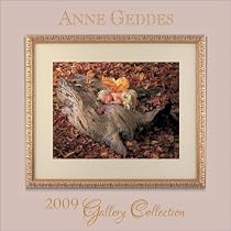 Anne Geddes Gallery Collection: 2009 Mini Wall Calendar