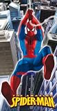 Marvel Badetuch Spiderman 