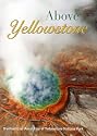 Above Yellowstone