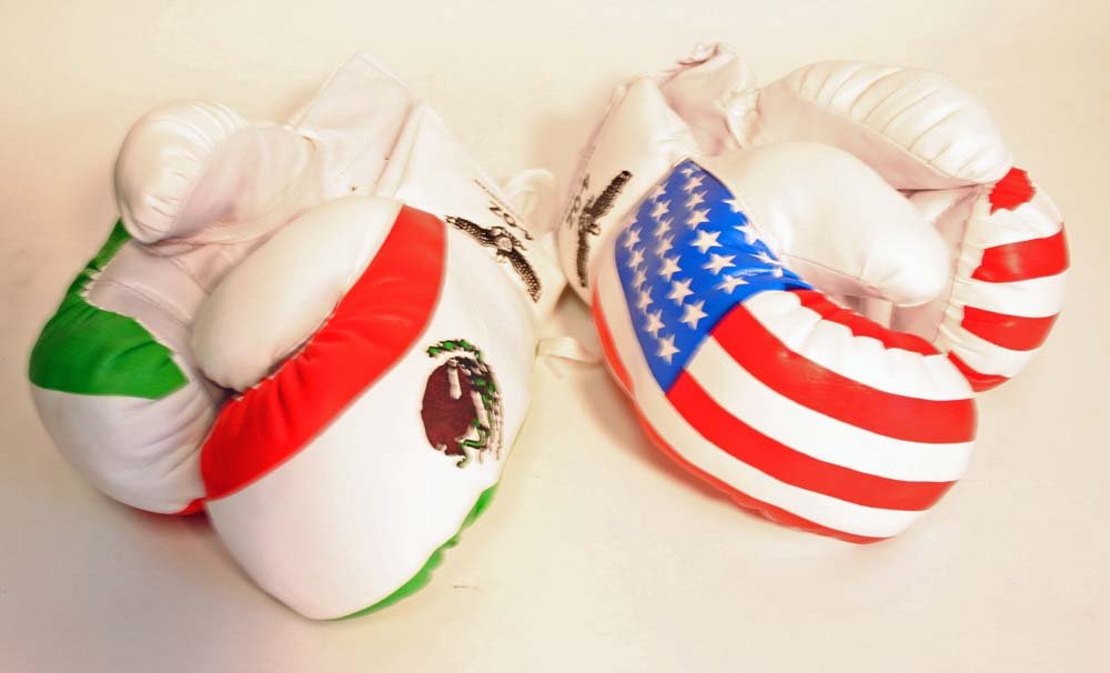 Amazon.com : 2 Pair 4oz Youth Boxing Gloves USA and Mexico Flags ...