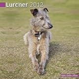 Lurcher Wandkalender 2012 [Kalender]