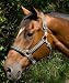 Lamicell Nylon Reflective Halter