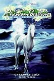 Phantom Stallion: Wild Horse Island #4: Castaway Colt (Phantom Stallion: Wild Horse Island)