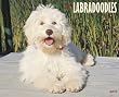 Just Labradoodles 2010 Calendar Just Labradoodles 2010 Calendar