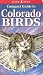 Books : Compact Guide to Colorado Birds (Compact Guide to...)