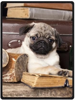 Pug Dog Fleece Plush Blanket 58" x 80"(Large) Unique Design