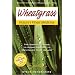 Wheatgrass Nature's Finest: The Complete Guide to Using Grass Foods & Juices to Revitalize Your Health by Steve Meyerowitz - Revised Edition