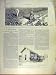 1902 Sugar-Beet France Refinery Factory French Print