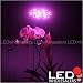 High Power Par38 Standard Screw Base Hydroponic 32 Red +32 Blue SMD LED Grow Light, 85 to 265 Volt, 1313MX