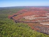 Results of Bush Fire, Fraser Island, Queensland, Australia Photographic Poster Print