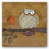 Awesome Owls III by Paul Brent 8x8 Art Print Poster