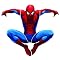 Spider Man Home Decor