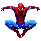RoomMates RMK1078GSCS Amazing Spiderman Stick Peel & Giant Wall Decal