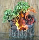 Review A.S.A.R.  / Lighted Water Fountain Wall or Table Top Tropical