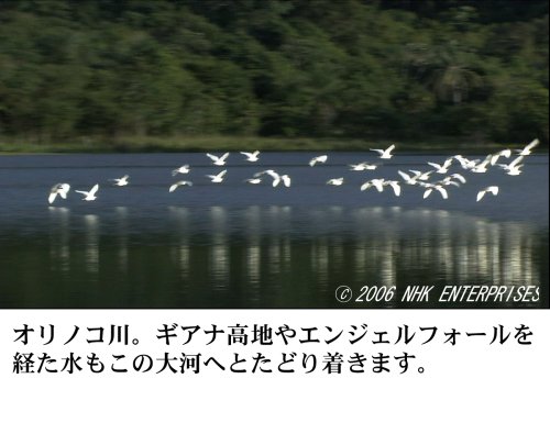 Cover image : 世界の大河 World River Cruising～河から見る世界遺産、秘境、壮大な大自然の数々～